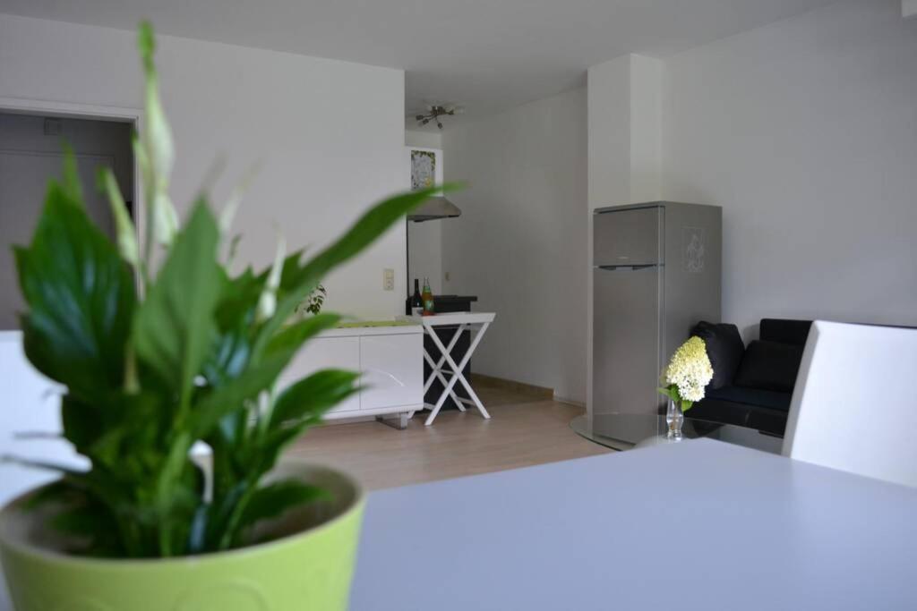 Ferienwohnung Stimmer 格赖瑙 外观 照片