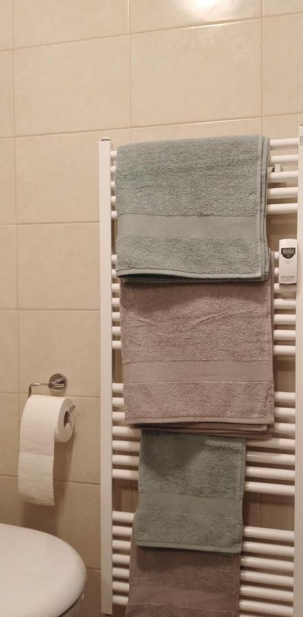 Ferienwohnung Stimmer 格赖瑙 外观 照片